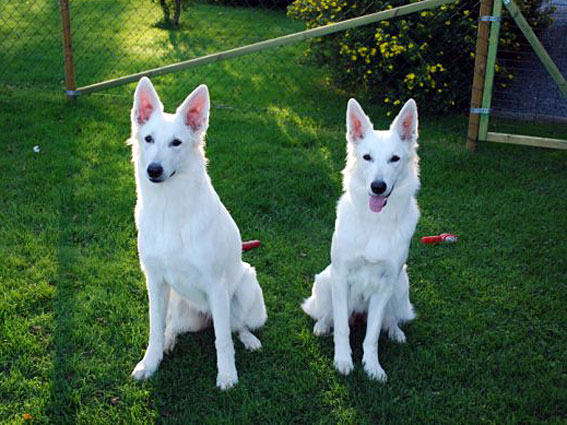 Electra and Troja, 10 months